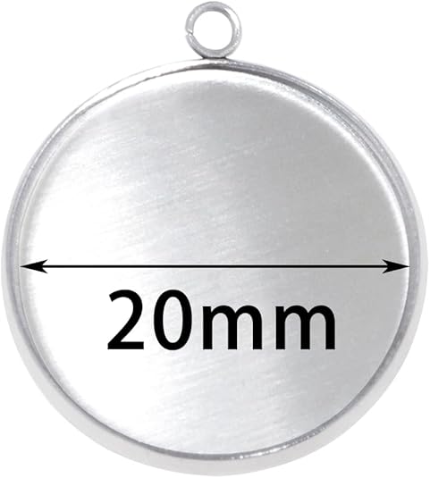 20 Pieces Stainless Steel Roun - Jewelry Making Tray 评论和价格